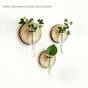 3-Pack Wall-Mounted Hydroponic Plant Test TubeFlower Pot for Indoor Plants & Cuttings V888-ELOSUNG45205