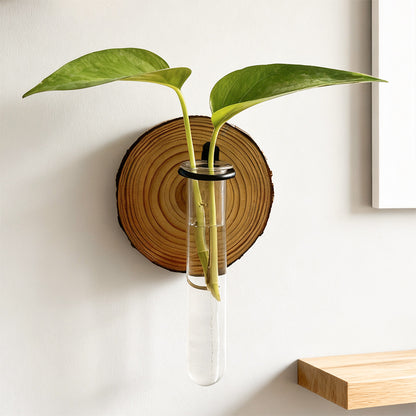 3-Pack Wall-Mounted Hydroponic Plant Test TubeFlower Pot for Indoor Plants & Cuttings V888-ELOSUNG45205