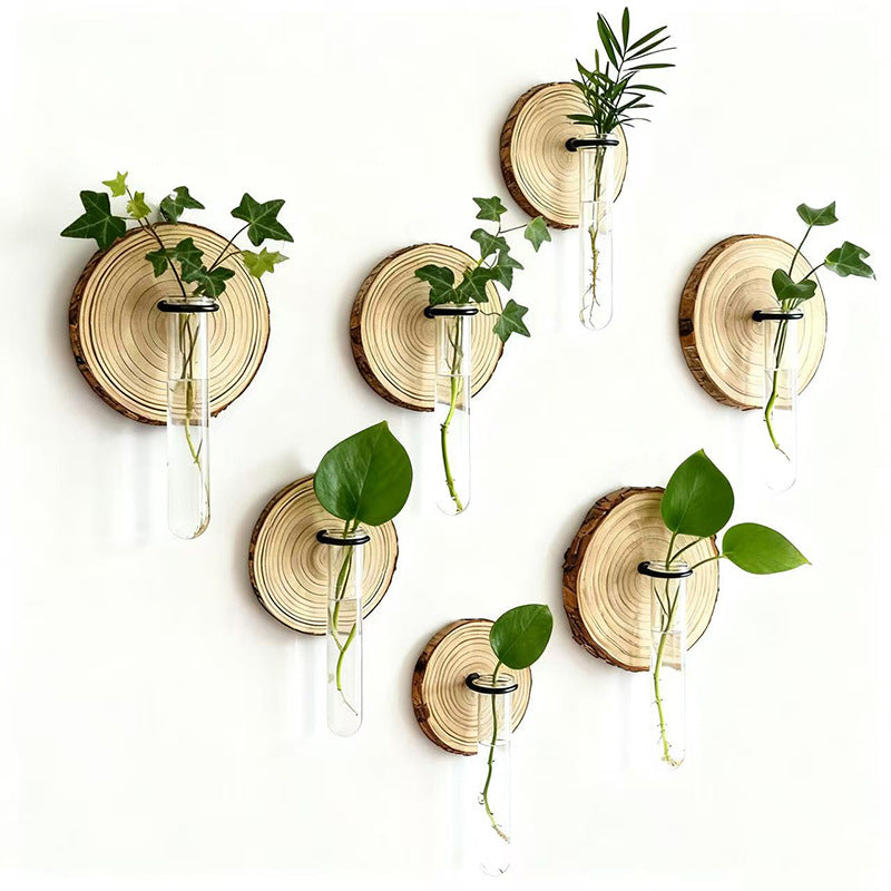 6-Pack Wall-Mounted Hydroponic Plant Test TubeFlower Pot for Indoor Plants & Cuttings V888-ELOSUNG45206