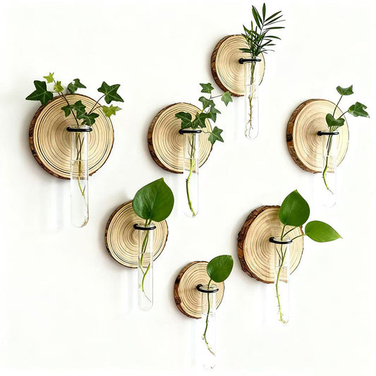 6-Pack Wall-Mounted Hydroponic Plant Test TubeFlower Pot for Indoor Plants & Cuttings V888-ELOSUNG45206