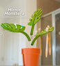 2 Set Mirror-Mount Half-Leaf Monstera Bathroom Organizer (Vase + 3 Leaves) - Decorative Home Vanity Set V888-ELOSUNG45799
