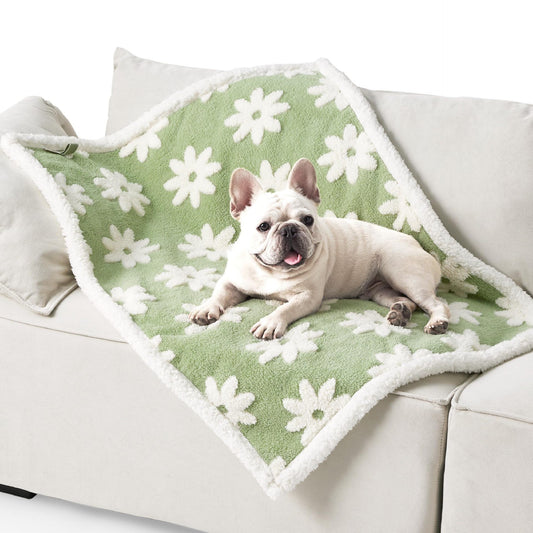 65 x 90 CM Waterproof Soft Sherpa Fleece Pet Blanket (Green Floral) - Reversible Thickened Furniture V888-ELOSUNG45994