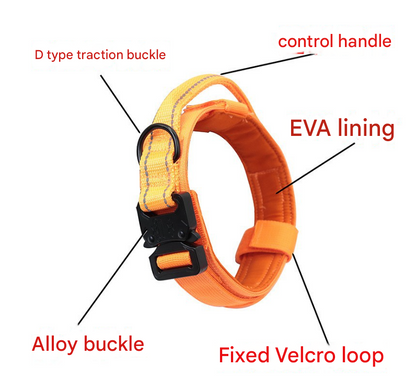 M Green Hands-Free Dog Leash with Adjustable Waist Belt - Shock Absorbing Bungee Lead V888-ELOSUNG46759