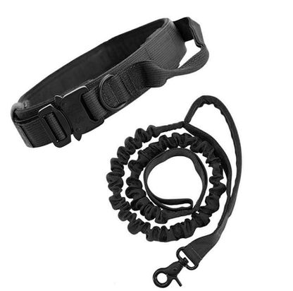 M Black Hands-Free Dog Leash with Adjustable Waist Belt - Shock Absorbing Bungee Lead V888-ELOSUNG46762