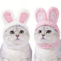 2 Pcs (White and Pink) Adorable Bunny Ears Cat Hat - Soft Plush Pet Costume Headband for Cats V888-ELOSUNG47127