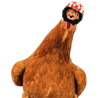 Yellow Pet Chicken Helmet Set of 3 - Protective Headgear for Chicks, Hens, and Birds V888-ELOSUNG48024
