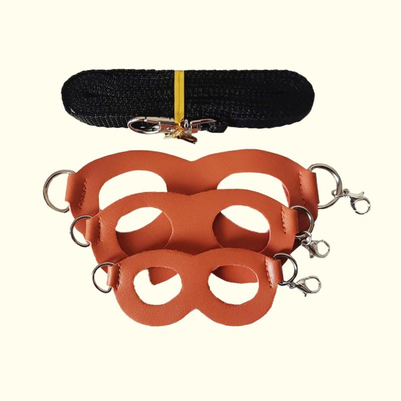 2-Pack Orange Small Mammal Harness Set - 6 Pcs (S/M/L x2) + 2x1.5m Leashes for Secure Outdoor Handling V888-ELOSUNG48312