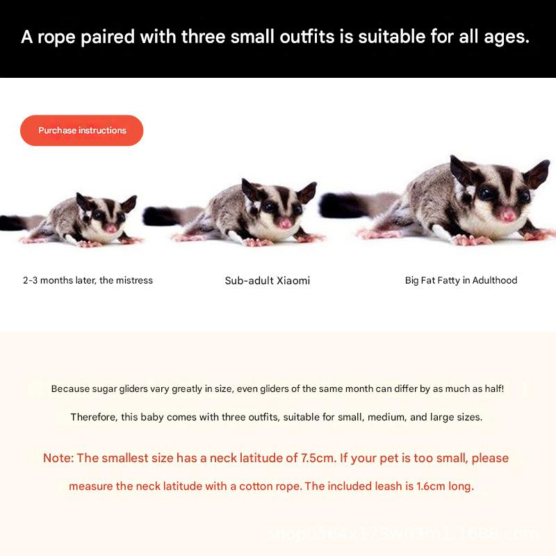 2-Pack Orange Small Mammal Harness Set - 6 Pcs (S/M/L x2) + 2x1.5m Leashes for Secure Outdoor Handling V888-ELOSUNG48312