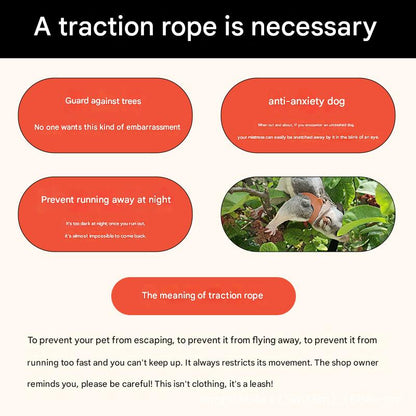 2-Pack Blue Small Mammal Harness Set - 6 Pcs (S/M/L x2) + 2x1.5m Leashes for Secure Outdoor Handling V888-ELOSUNG48314