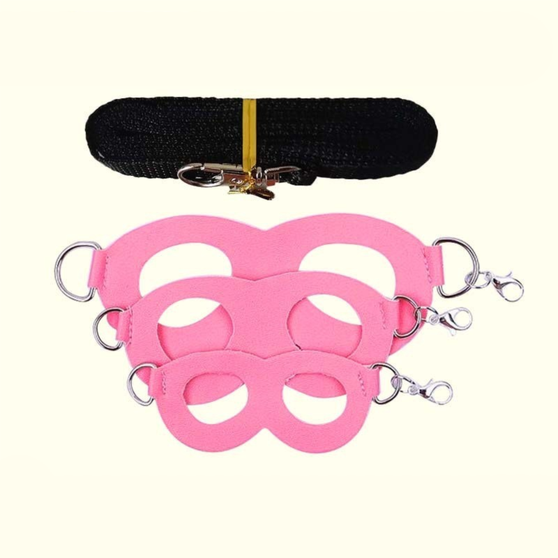 2-Pack Pink Small Mammal Harness Set - 6 Pcs (S/M/L x2) + 2x1.5m Leashes for Secure Outdoor Handling V888-ELOSUNG48316