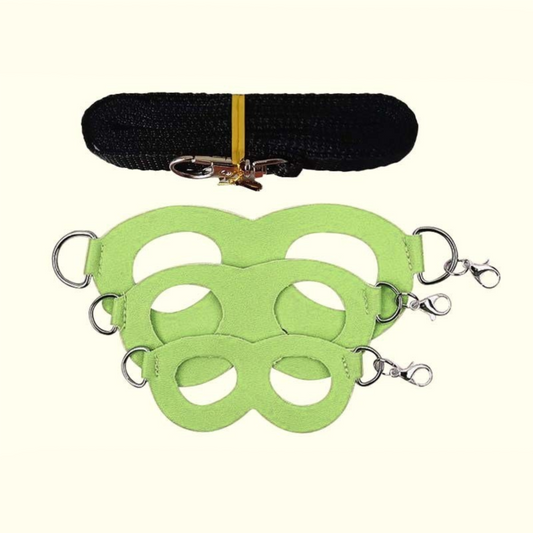 2-Pack Apple green Small Mammal Harness Set - 6 Pcs (S/M/L x2) + 2x1.5m Leashes for Secure Outdoor Handling V888-ELOSUNG48318