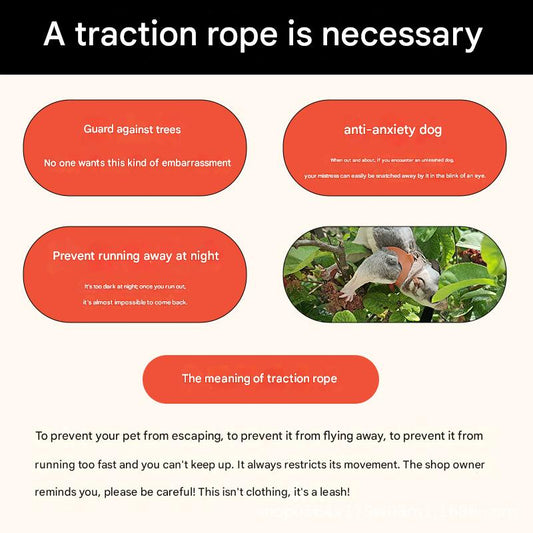 2-Pack Apple green Small Mammal Harness Set - 6 Pcs (S/M/L x2) + 2x1.5m Leashes for Secure Outdoor Handling V888-ELOSUNG48318