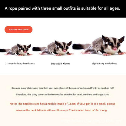 2-Pack Apple green Small Mammal Harness Set - 6 Pcs (S/M/L x2) + 2x1.5m Leashes for Secure Outdoor Handling V888-ELOSUNG48318
