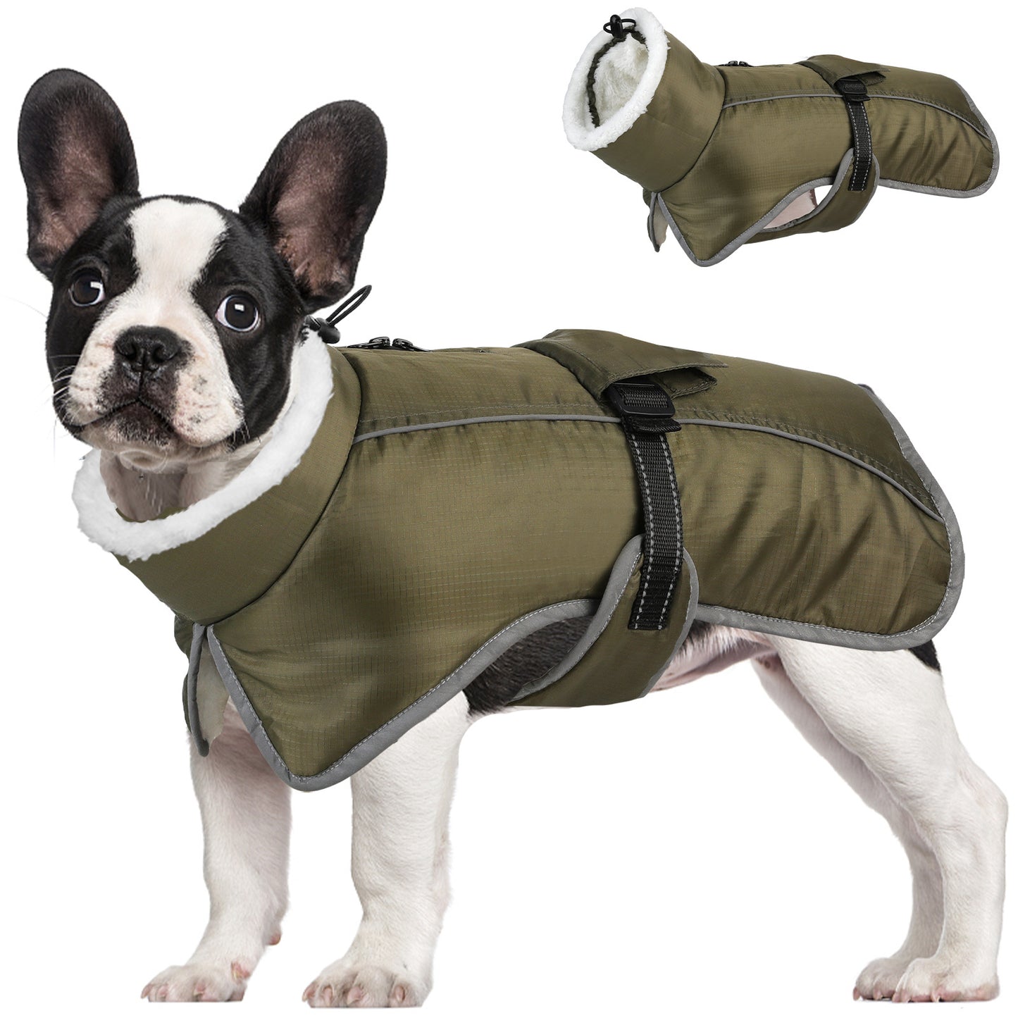 Green Dog Winter Jacket - Warm, Windproof & Waterproof Pet Coat with Fleece Lining and Reflective Strips for V888-ELOSUNG48446