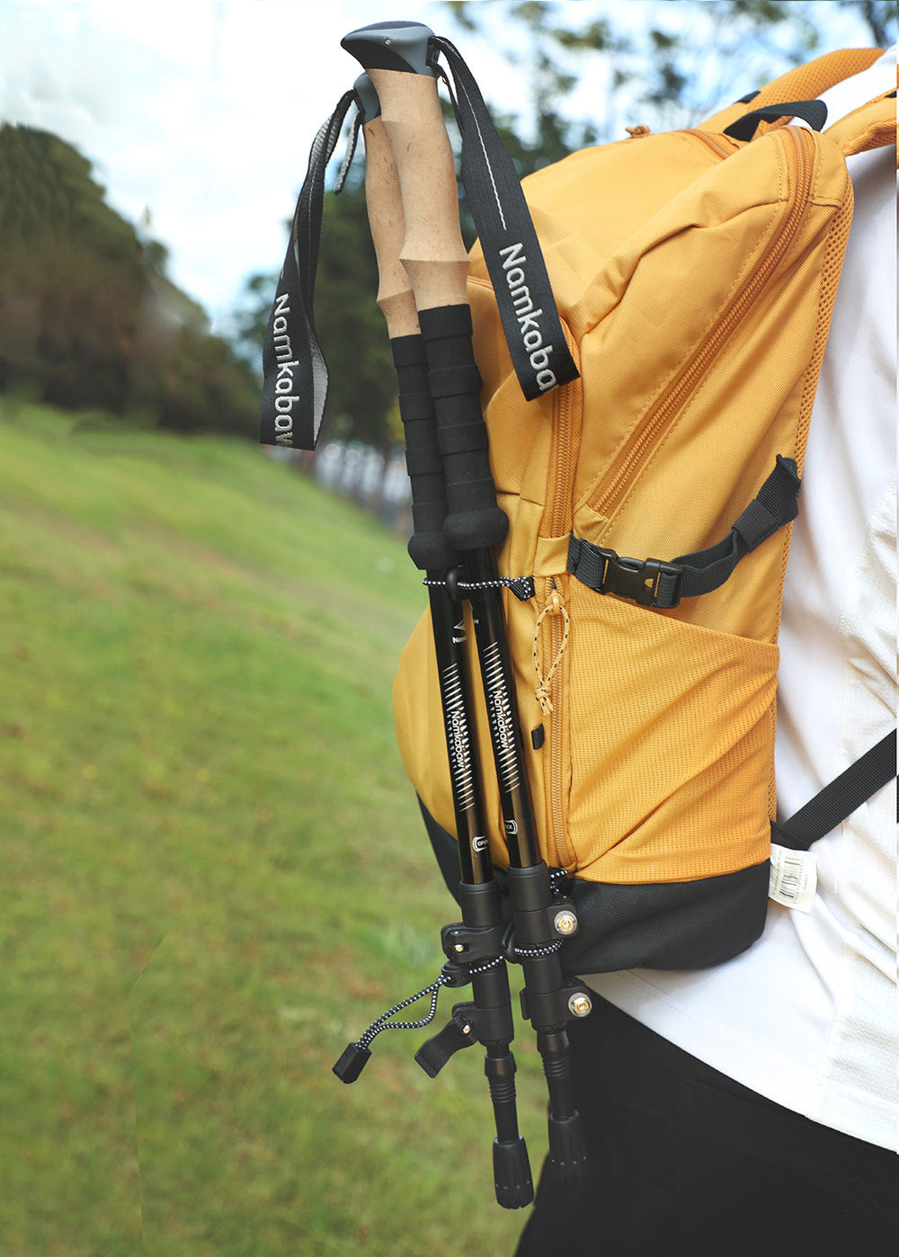 2-Pack Green Aluminum Alloy Telescopic Trekking Poles with Secure External Lock & Accessory - 3-Section V888-ELOSUNG49084
