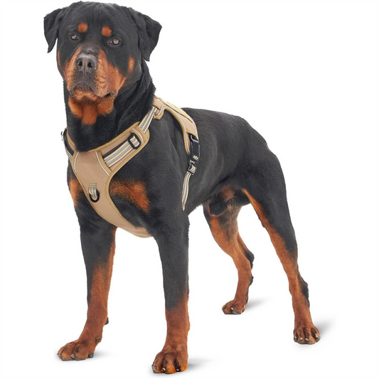 Black Professional Adjustable Tactical Dog Mesh Harness - Reflective No-Pull Pet Vest with Control Handle (S V888-ELOSUNG49574