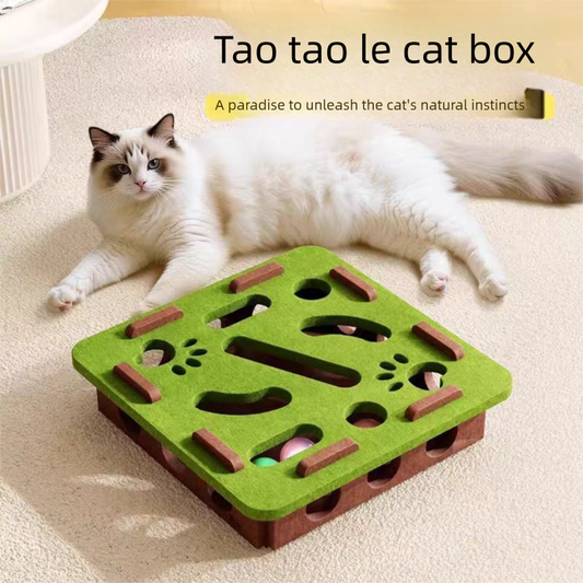 2-piece Green cat toy set-featuring square and flower shapes-is an excellent choice for feline entertainment V888-ELOSUNG50035