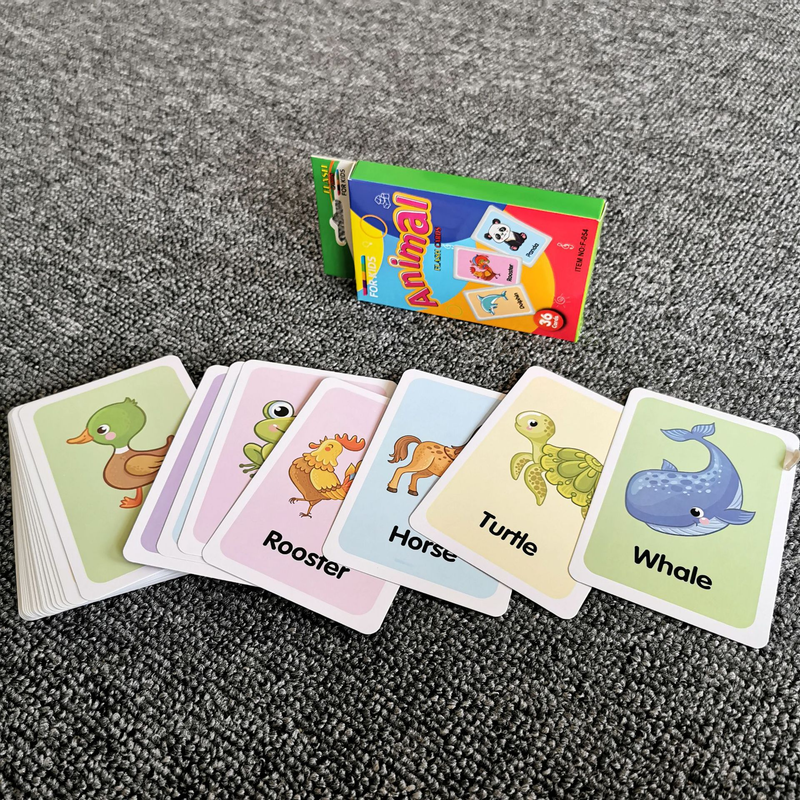 7-Set Kids Early Education Flash Cards, Montessori Cognitive Development Toys for Toddlers Ages 4+, V888-ELOSUNG50204