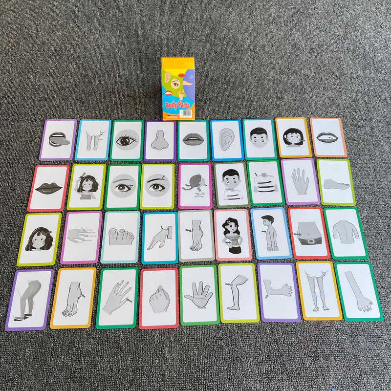 7-Set Kids Early Education Flash Cards, Montessori Cognitive Development Toys for Toddlers Ages 4+, V888-ELOSUNG50204