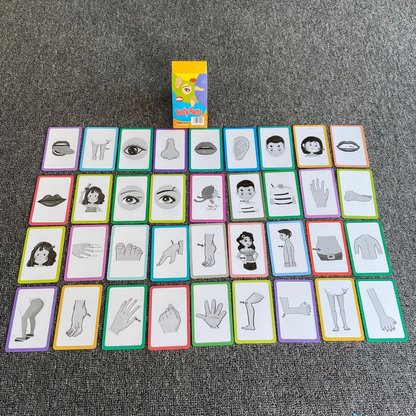 7-Set Kids Early Education Flash Cards, Montessori Cognitive Development Toys for Toddlers Ages 4+, V888-ELOSUNG50204