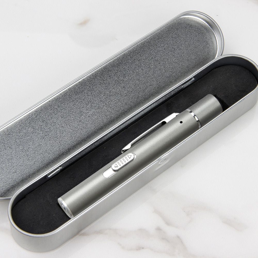 Grey Metal Laser Cat Toy Pen Set - 2 Piece USB Rechargeable 3-in-1 Laser Pointer with UV Light and LED Torch V888-ELOSUNG51046
