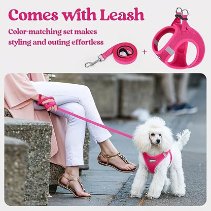 Black Breathable Dog Harness and Leash Set - Adjustable Reflective Pet Vest with Swivel Clip(Size: M) V888-ELOSUNG51193