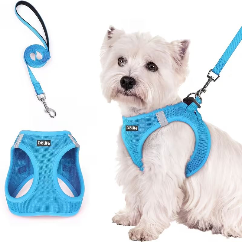 Blue Breathable Dog Harness and Leash Set - Adjustable Reflective Pet Vest with Swivel Clip(Size: XL) V888-ELOSUNG51200