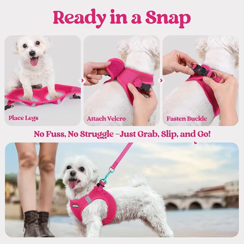 Blue Breathable Dog Harness and Leash Set - Adjustable Reflective Pet Vest with Swivel Clip(Size: XL) V888-ELOSUNG51200