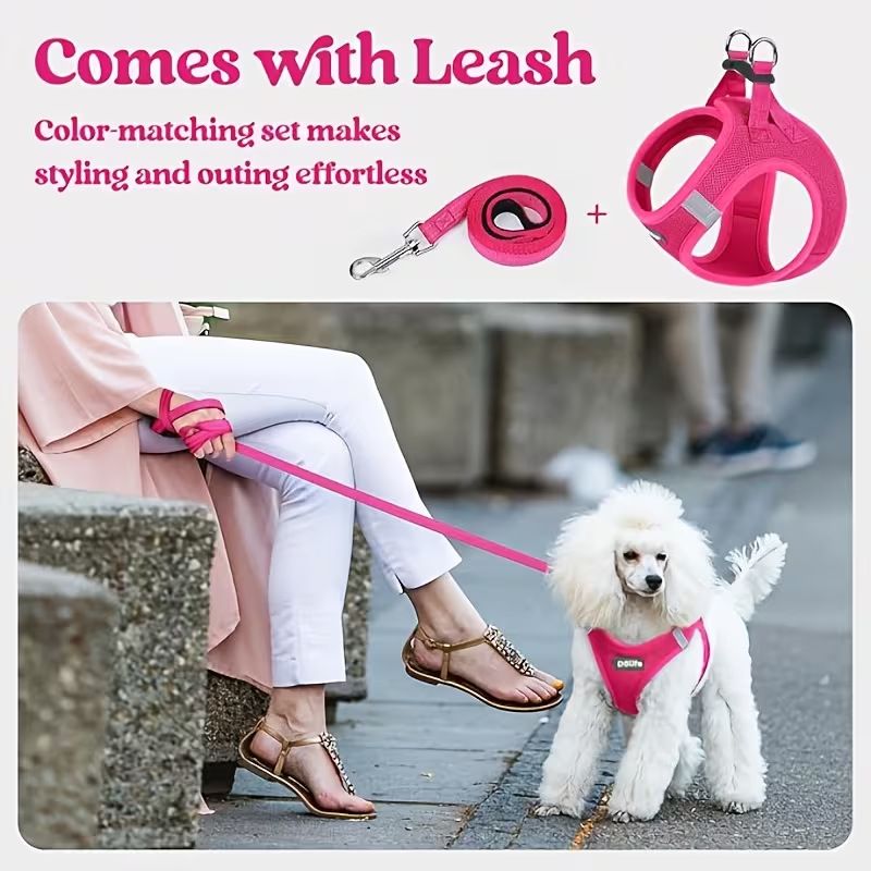 Orange Breathable Dog Harness and Leash Set - Adjustable Reflective Pet Vest with Swivel Clip(Size: S) V888-ELOSUNG51202