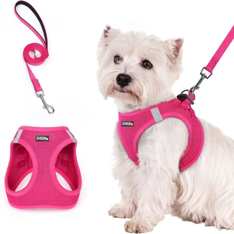 Rose red Breathable Dog Harness and Leash Set - Adjustable Reflective Pet Vest with Swivel Clip(Size: S) V888-ELOSUNG51207
