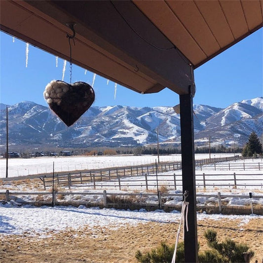Bird Heart-Shaped Nest with Hanging Metal Frame - Outdoor Garden Decor & Wild Bird Support - Unique Yard Art V888-ELOSUNG52112