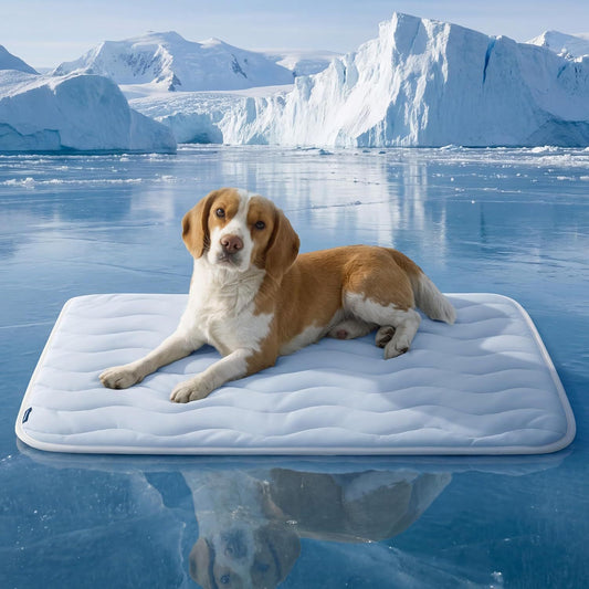 91 x 58 CM Blue Premium Wave Quiltied Pet Cooling Mat - Washable Self-Cooling Blanket with Anti-Stick Hair V888-ELOSUNG52179