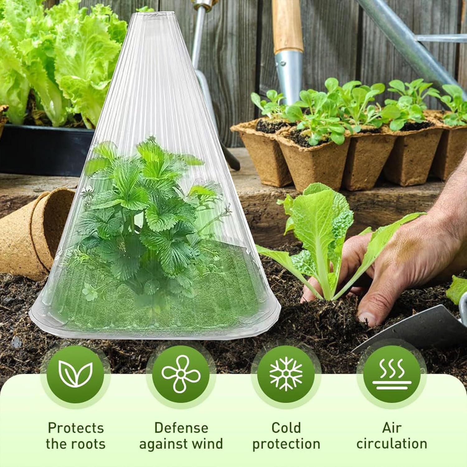 10-Pack Reusable Garden Seedling Protective Covers with Securing Earth Pegs - Ventilated Windproof and Frost V888-ELOSUNG52190