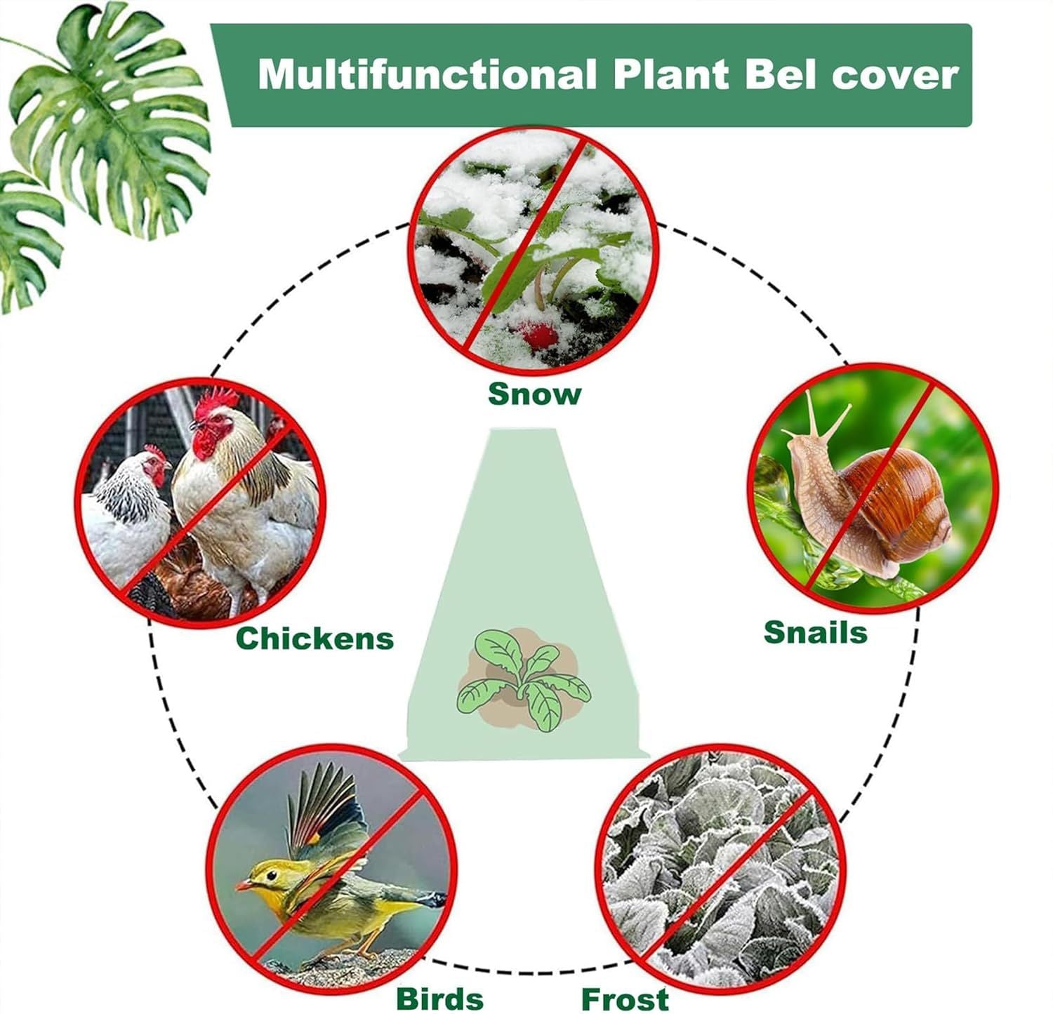 10-Pack Reusable Garden Seedling Protective Covers with Securing Earth Pegs - Ventilated Windproof and Frost V888-ELOSUNG52190
