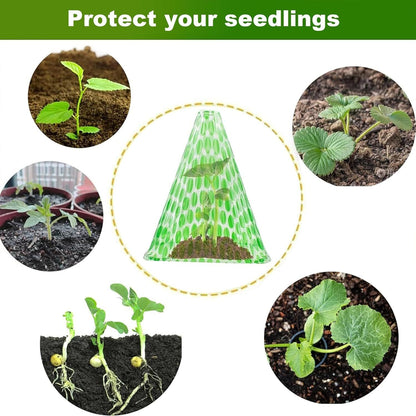 10-Pack Reusable Garden Seedling Protective Covers with Securing Earth Pegs - Ventilated Windproof and Frost V888-ELOSUNG52190