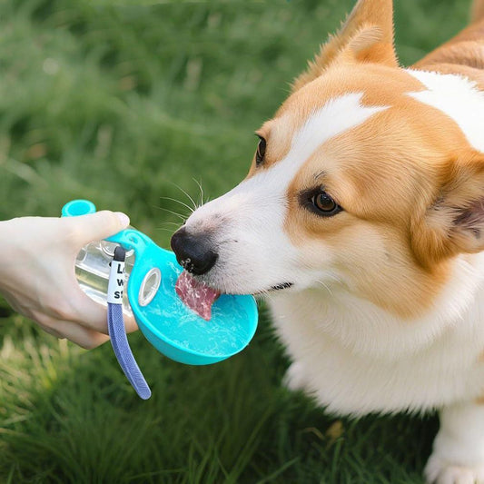 Blue Portable Pet Water Bottle with Foldable Drinking Bowl, 285ml Travel Dog Water Dispenser for Walking V888-ELOSUNG54221