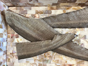 1x Just Shark Tails V908-271729171138