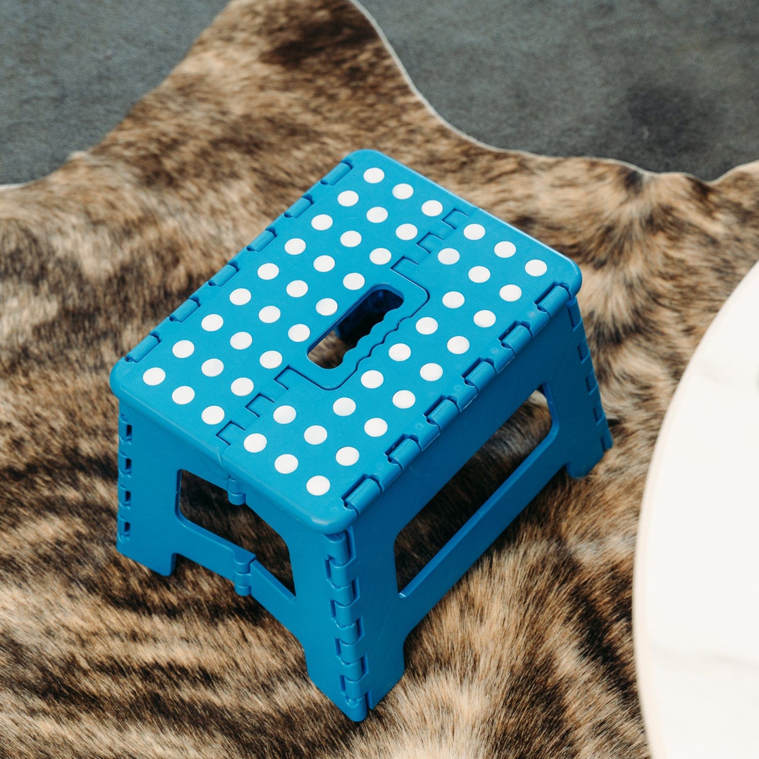 Plastic Folding Stool Portable Chair Outdoor Camping Blue V915-HH0026-BL