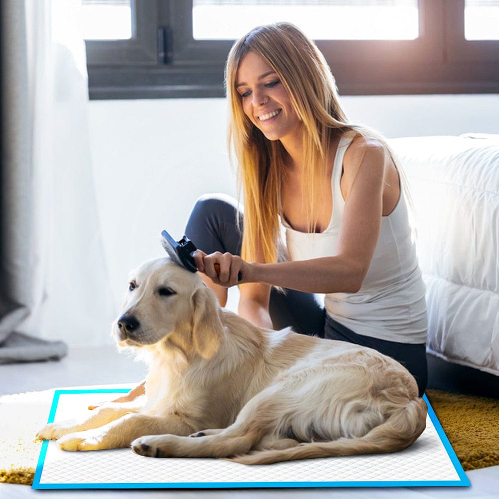 100pcs Dog Absorbent Training Pad 60 x 60 cm V915-MB0045