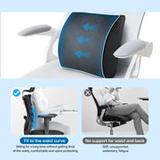 Bamboo Memory Foam Lumbar Support Cushion V915-MB0099