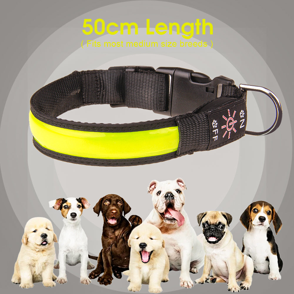 50cm Rechargeable Light-up LED Pet Collar V915-ZP0115
