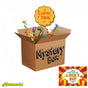 Mystery Box - BIG SURPRISE- Lucky Dips 2025 V922-AWD-DXXX-MYSBOX-LD