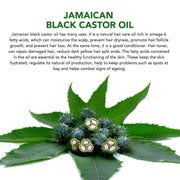 Black Castor Oil (2.02 fl oz), Jamaican Organic Regrowth Treatments V932-CASTOR-OIL