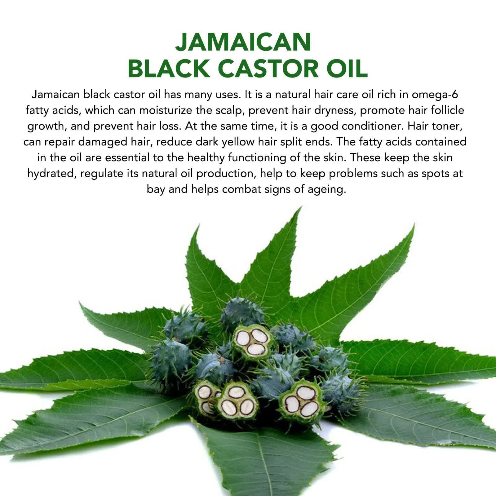 Black Castor Oil (2.02 fl oz), Jamaican Organic Regrowth Treatments V932-CASTOR-OIL