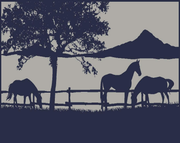 Ranch 5m x 2.4m recycled poly mat V941-RANCH5