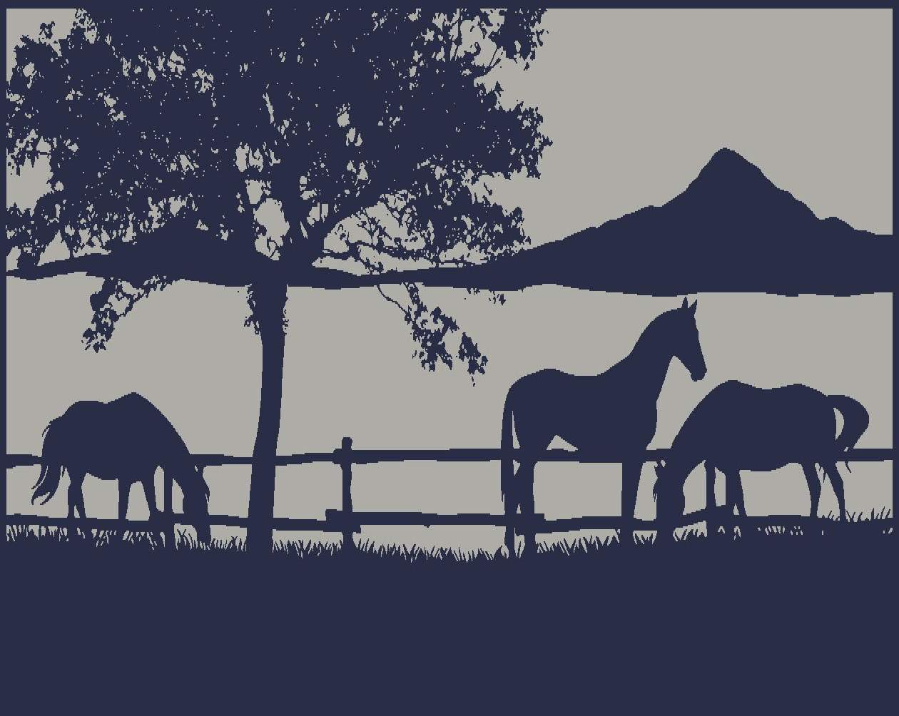Ranch 5m x 2.4m recycled poly mat V941-RANCH5