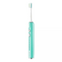 DR.BEI Little Flower Sonic Electric Toothbrush E5 (Green) V943-6970763914002