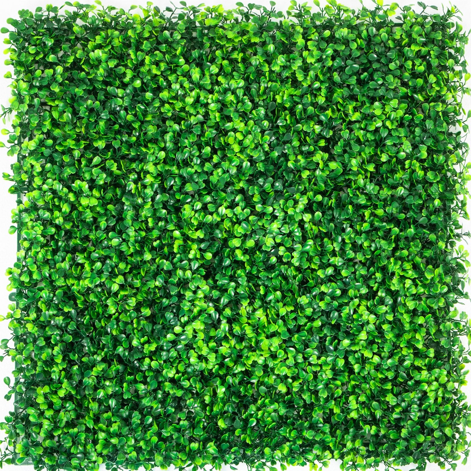Artificial Boxwood Panels, 12 PCS 20"x20" Boxwood Hedge Wall Panels, PE Artificial Grass Backdrop Wall 1.6"", V952-AQFSYCGTYSW246OI9V0