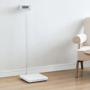 Portable Medical Scale, Professional Digital Physician Scale for Weighing - with Anti-slip Platform, 2 Units, V952-BXSYSCBSG440FYILKV3