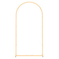 Arch Backdrop Stand, 2 x 1 m, Stable Structure, Easy Assembly, 1 Set Gold Metal Arch Backdrop Stand for V952-BYDGMJDJT66FVMQ73001V0